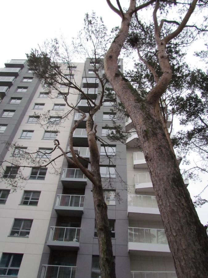 Apartament Antonio *